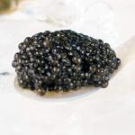 Sevruga Sturgeon Black Caviar - 1 oz