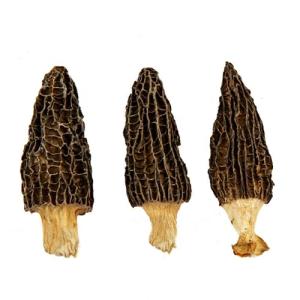 Dried Morel Mushrooms - Tender, Nutritious, Delicious