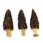 Dried Morel Mushrooms - Tender, Nutritious, Delicious