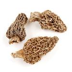 Dried Morel Mushrooms – Gourmet Wild Honeycomb 1 lb