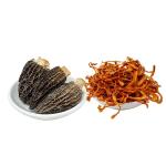 Cordyceps Flower & Wild Morel Mushroom Gift Set