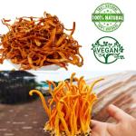 Cordyceps Flower & Wild Morel Mushroom Gift Set