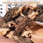 Dried Morel Mushrooms - Pure, Natural, 1.76 Oz