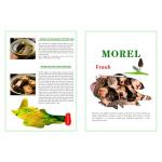 Dried Morel Mushrooms - Pure, Natural, 1.76 Oz