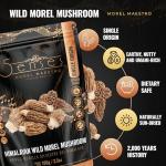 Premium Dried Himalayan Morel Mushrooms - 50g