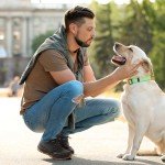 Lightweight Grey Hiking Chukka Boots for Men