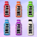 12Pcs Bottle Shoe Charms for Clog Sandals Bracelets Decoration, Sports Drink Charms