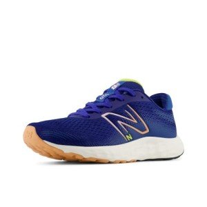 New Balance Women's 520 V8 Running Shoe, Blue Agate/Firefly/Copper, 6.5 Wide