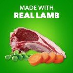 Iams Proactive Health Wet Dog Food, Lamb Chunks in Gravy, 13 oz., Pack of 12