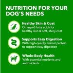 Iams Proactive Health Wet Dog Food, Lamb Chunks in Gravy, 13 oz., Pack of 12