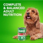 Iams Proactive Health Wet Dog Food, Lamb Chunks in Gravy, 13 oz., Pack of 12