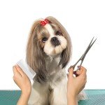 Jegtew 4 Pack Double sided Pet Combs,Fine Tooth Comb, Grooming Flea Tick Lice Dandruff Removal Fine Tooth Hair Combs for Cats Dogs Puppy