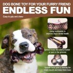 Anoodi Dog Chew Toys for Aggressive Chewers, 2Pack Indestructible Nylon Tough Large Dog Toys for Small Medium Dog, Durable Interactive Dog Bone Chew Toy to Keep Them Busy, Real Beef&Bacon Flavor