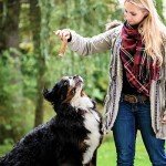 ASMPET Dog Treats for Medium Dogs, Chicken Jerky Wrapped Rawhide Sweet Potato Dog Chews Long Lasting High Protein Low Fat Healthy Grain-Free Chicken Jerky Dog Treats Large Breed Small Dogs（6pcs）