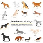 Multivitamin Chews for Dogs Vitamins Supplements Puppy Treats with Glucosamine Chondroitin for Dog Immunity Mobility Energy Heart Health Pet Skin and Coat Allergy Hip Joint Support Gut Digestion