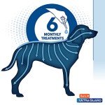 Hartz UltraGuard Dual Action Flea & Tick Topical Dogs & Puppies Treatment & Prevention, 6 Months, 60+ lbs