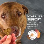 Shameless Pets Crunchy Dog Treats - Party Mix Variety, 10oz - Healthy Dog Biscuits & Cookies Treats for Small, Medium, and Large Dogs - Made in The USA - Free from Corn & Soy