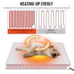 Rest-Eazzzy Cat Heating Pad, Cat Bed with Removable Cover Heated Cat Bed 5 Level Timer and 5 Level Temperature, Cat Beds for Indoor Warming Mat for Cat Dog (Heat pad, Pure-Blue,M)