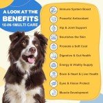 Dog Multivitamin with Probiotics for All-Around Health