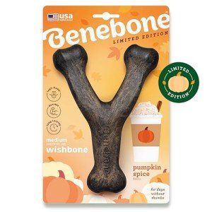 Benebone Pumpkin Spice Wishbone Dog Chew Toy