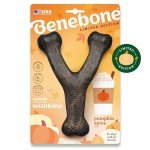 Benebone Pumpkin Spice Wishbone Dog Chew Toy