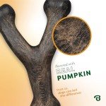 Benebone Pumpkin Spice Wishbone Dog Chew Toy