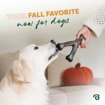 Benebone Pumpkin Spice Wishbone Dog Chew Toy