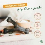 Benebone Pumpkin Spice Wishbone Dog Chew Toy