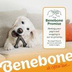 Benebone Pumpkin Spice Wishbone Dog Chew Toy