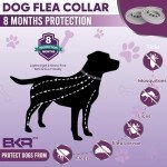 BKRMART Natural Flea Collar for Dogs - 2 Pack