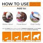 Bacon Flavor Glucosamine Joint Supplement for Dogs