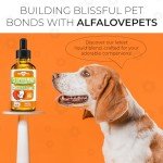 Bacon Flavor Glucosamine Joint Supplement for Dogs