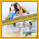 Indestructible Nylon Dog Toys for Aggressive Chewers
