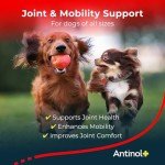 Antinol Plus Dog Joint Supplement with Krill Oil