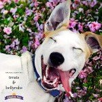 Chicken Breast Jerky Treats for Dogs - 48oz