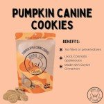 Winnie Lou Pumpkin Apple Dog Treats - 2 Pack