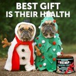 Artullano Hemp Calming Chews for Dog Anxiety Relief