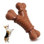 Peanut Butter Nylon Chew Bone for Aggressive Chewers