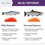 Salmon Jerky Treats for Dog Hip and Joint