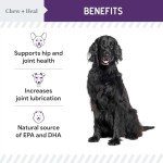 Salmon Jerky Treats for Dog Hip and Joint