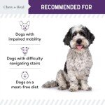 Salmon Jerky Treats for Dog Hip and Joint