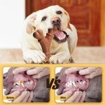 Peanut Butter Nylon Chew Bone for Aggressive Chewers