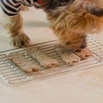Cooper's Easy Dog Biscuit Baking Starter Kit