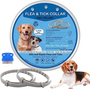 Adjustable Flea and Tick Collar for Dogs - 2 Pack