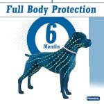 Adjustable Flea and Tick Collar for Dogs - 2 Pack