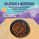 Wet Dog Food in Gravy with Real Beef - 12 Pack