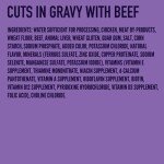 Wet Dog Food in Gravy with Real Beef - 12 Pack