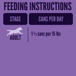 Wet Dog Food in Gravy with Real Beef - 12 Pack