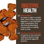 Sweet Potato Pumpkin Dog Bones - Grain-Free Treats