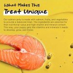 Smarty Pup Salmon Jerky Dog Treats – 5 oz